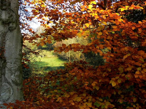 Chant d'automne 2012 (1)